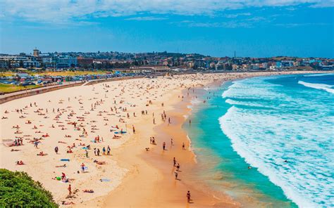everything you need to know about bondi eastern sydney