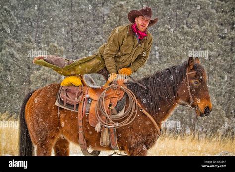 Cowboy Mounting Horse Hi Res Stock Photography And Images Alamy