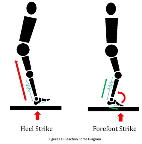 Heel Strike Vs Forefoot Strike How They Differ Mechanically