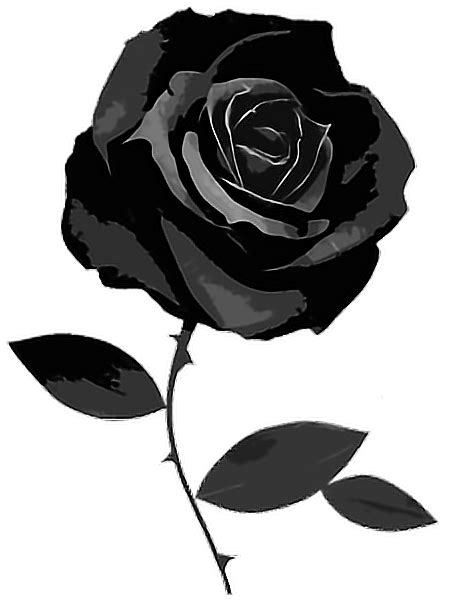 Free Black Flower Png Download Free Black Flower Png Png Images Free