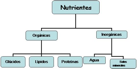 Educacion Fisica V Unidad Ii Nutrimentos OrgÁnicos E Inorganicos