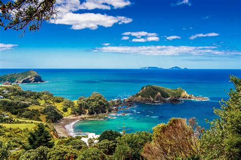 Dolphin Bay Tutukaka Northland New Zealand Photo By Rob Plim Nz