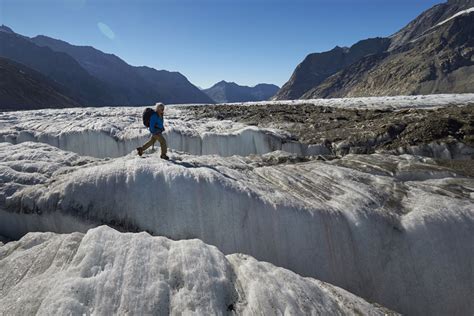 Human Impact On The Earth Switzerlands Great Aletsch Glacier The