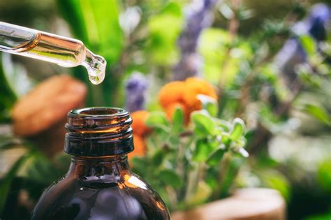 16 Effective Essential Oils for Scars (and Three Healing Oil Blends ...