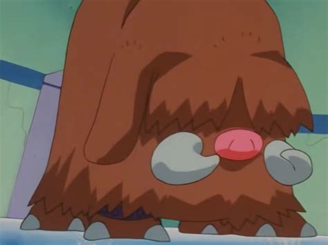 It now has a long, pointed nose that curves slightly upward. 24 Amazing And Fascinating Facts About Piloswine From ...