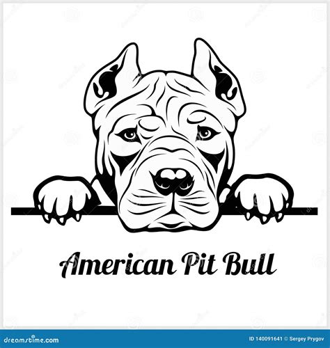 Detalle Imagen Cara Dibujos De Perros Pitbull Thptnganamst Edu Vn