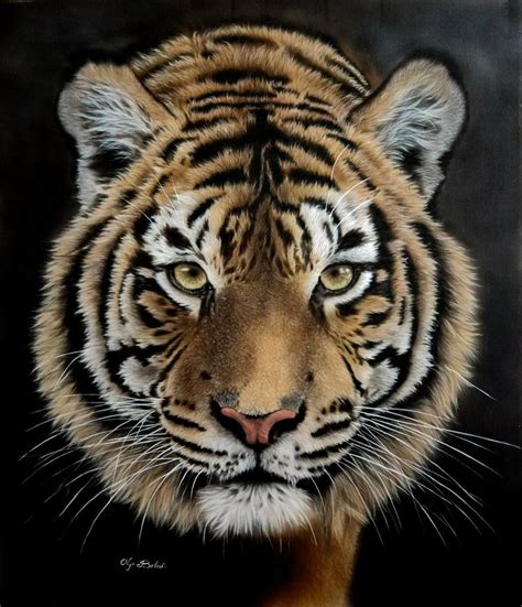 Concentration Silk Painted Tiger Portrait Painting By Olga Belova