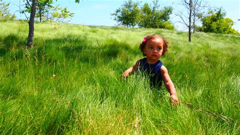Free Images Walking Field Lawn Meadow Prairie Kid Adventure
