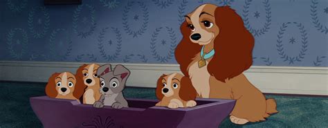 Lady And Her Puppies ~ Lady And The Tramp 1955 Lady And The Tramp