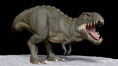 Dino dan images to print : 3D print model Realistic Dinosaur T-Rex tyrannosaurus