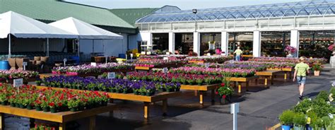 We carry one of the largest selections of seeds, plants, and garden supplies and offer gardening services to help get denver more beautiful one home at a time. 10 Greenhouse Design Mistakes That Can Kill Your Garden ...