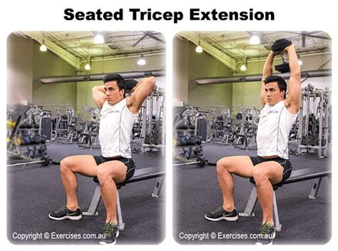 Seated Tricep Extensions Expert 142 Min How To Demo Video