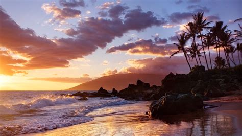 Get Hawaiian Vacation Microsoft Store
