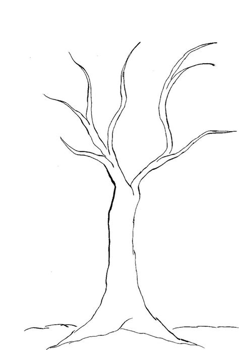 Bare Tree Outline Coloring Page Coloring Pages