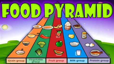 Healthy Food Pyramid Game