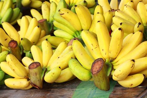 Banana Bunch Cluster Stock Image Image Of Cluster Grow 36602567