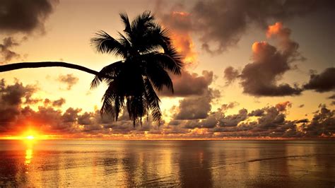 Hawaii Beach Sunset Landscape Clouds Nature Photography Palm