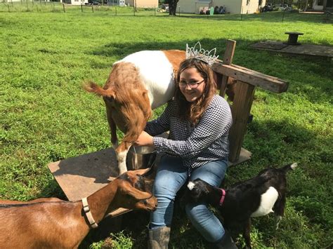 This Hunterdon Teen Milks Goats For Fun And Profit World Meet Miss