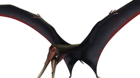 Dark Boned Pterosaur Named For Game Of Thrones Dragons