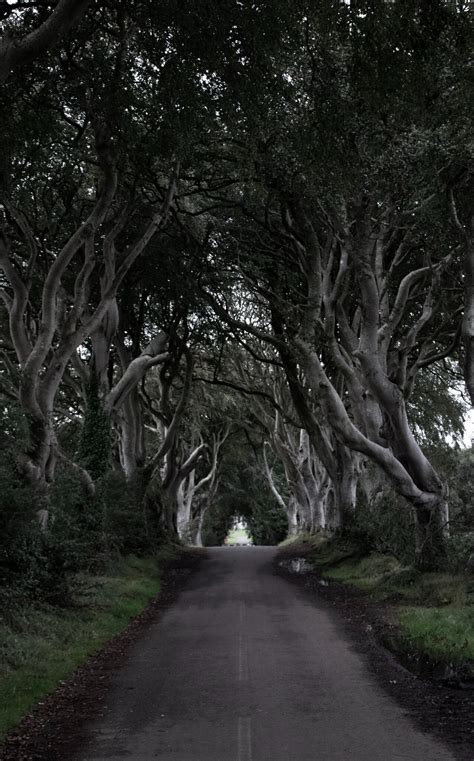 10 Magical Places In Northern Ireland Straight Out Of A Fairytale