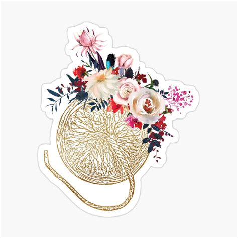 Printable Book For Cooking Placenta