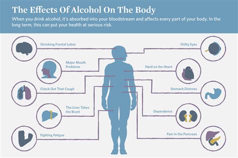 The Effects Of Alcohol On The Body Mountainside