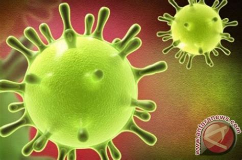 Ahli Virus Corona Lebih Lambat Bermutasi Dibanding Virus Influenza
