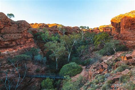 Kings Canyon Australia Rim Walk Guide — Laidback Trip