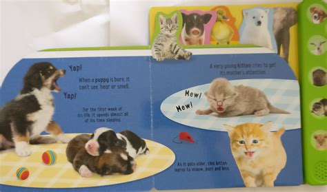 Noisy Baby Animals 10 Animal Sounds Book Booky Wooky