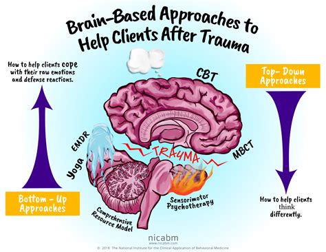 Infographic Brain Based Approaches To Help Clients After Trauma