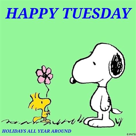 Pin By Shawntah Boian On Happy Tuesday Happy Tuesday Snoopy Love