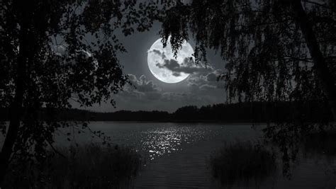 Full Moon Night Landscape With Forest Lake Stock Footage Video Shutterstock