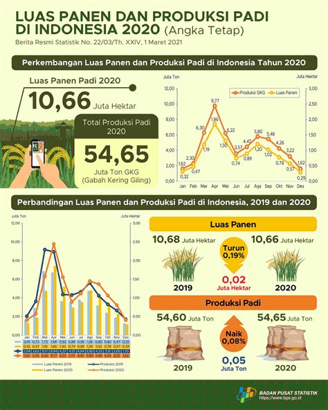 Perkembangan Luas Panen Dan Produksi Padi Di Indonesia Tahun