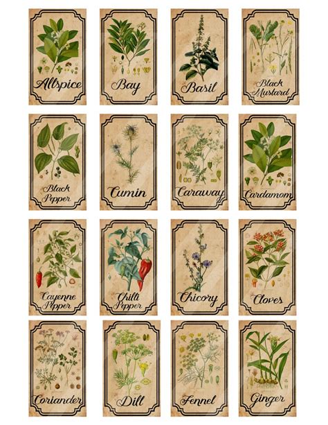 Herb And Spice Apothecary Labels Digital Printable Vintage Etsy