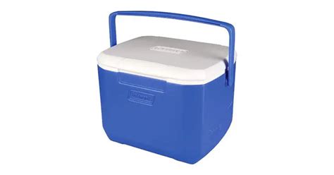 What Small Cooler Keeps Ice The Longest Travel Savvy Guide