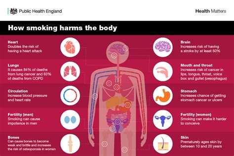 analyzes the negative health impact of cigarette smoking digital media