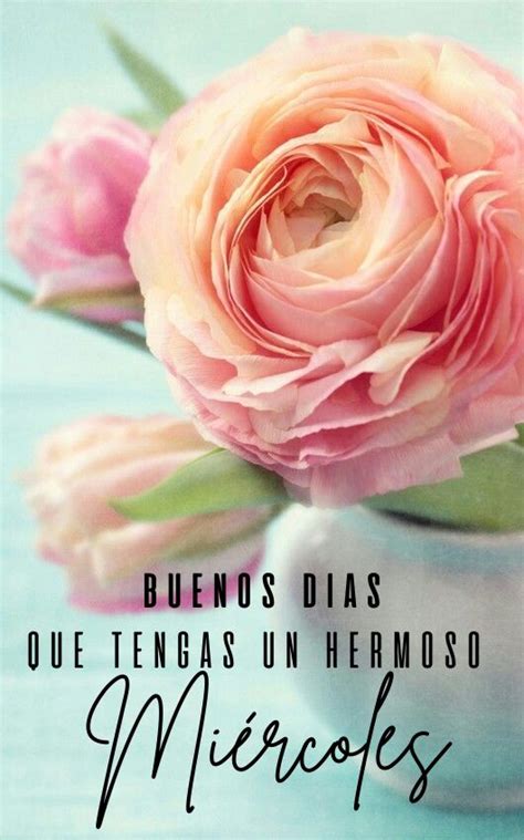 A Pink Flower In A White Vase With The Words Blendos Dias Quetengas