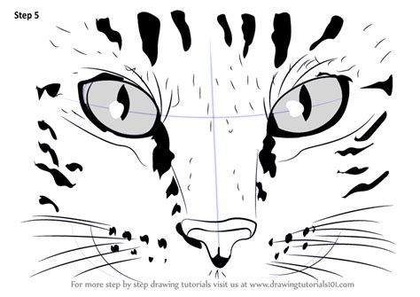 Just like with all other features of a human face, it's important that you don't draw preconceived ideas that you may have regarding eyes. Learn How to Draw Cat Eyes (Cats) Step by Step : Drawing ...