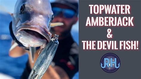 Catching Amberjack On Topwater Lures And Fighting The Devil Fish