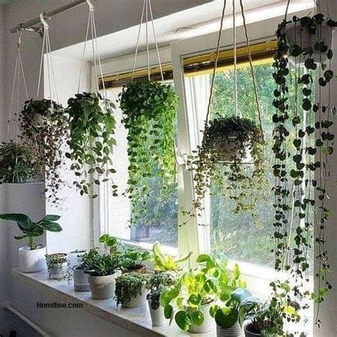 Hanging Plant Ideas To Dress Up Your Indoor Garden ~
