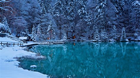 Desktop Wallpapers Switzerland Kander Valley Winter Spruce 1366x768