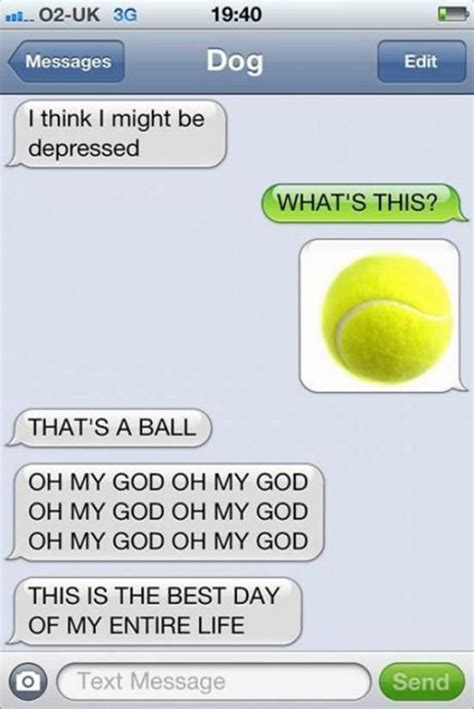 The 35 Funniest Text Messages Dogs Would Send If They Could Text