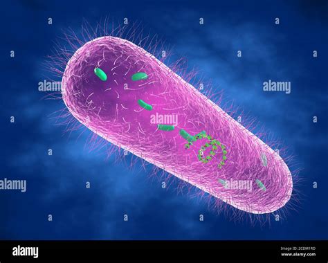 Ilustración 3d De Una Bacteria Pseudomonas Aeruginosa Que Muestra La