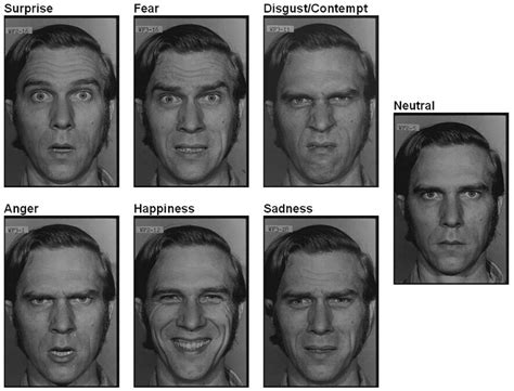 The Six Universal Emotions And Neutral Expression Download Scientific