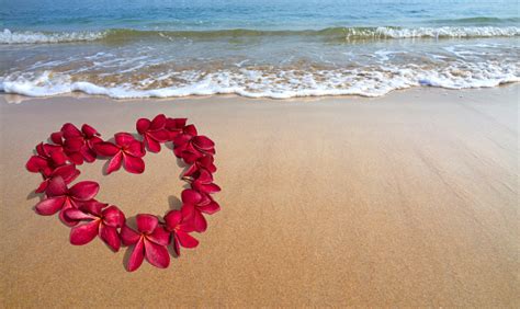 Valentine In The Beach Sand With Heart Shape Red Frangipani Stock Photo