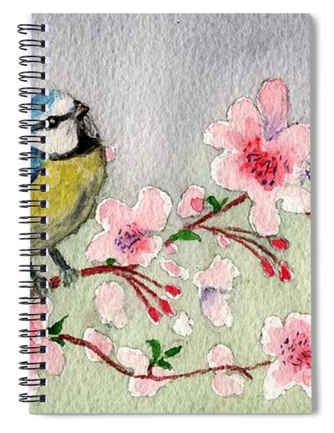Pin On Blue Tit Bird On Cherry Blossom Tree Collection