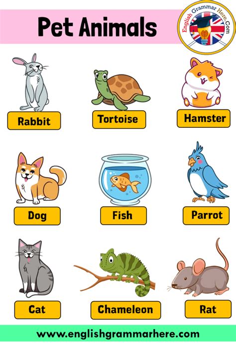 The structural and functional unit of an animal body. English Pet Animals Names, Definition and Example ...