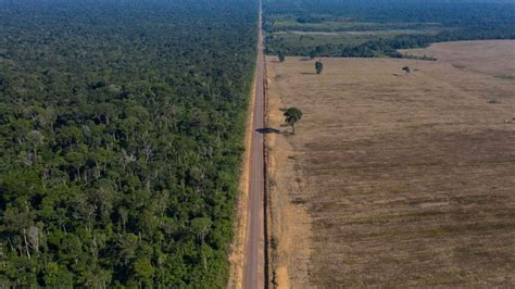 Oxford Institute La Deforestación Del Amazonas Durante El Gobierno De