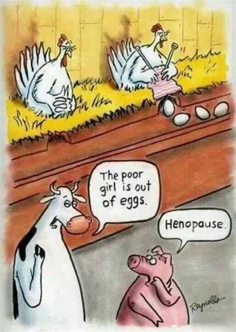 Poor Henrietta Chicken Humor Funny Cartoons Bones Funny