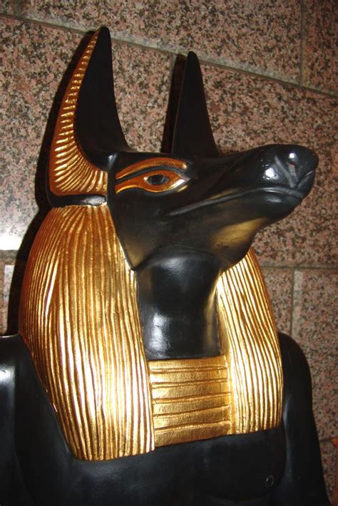 anubis bust on plinth ancient egyptian artifacts anci